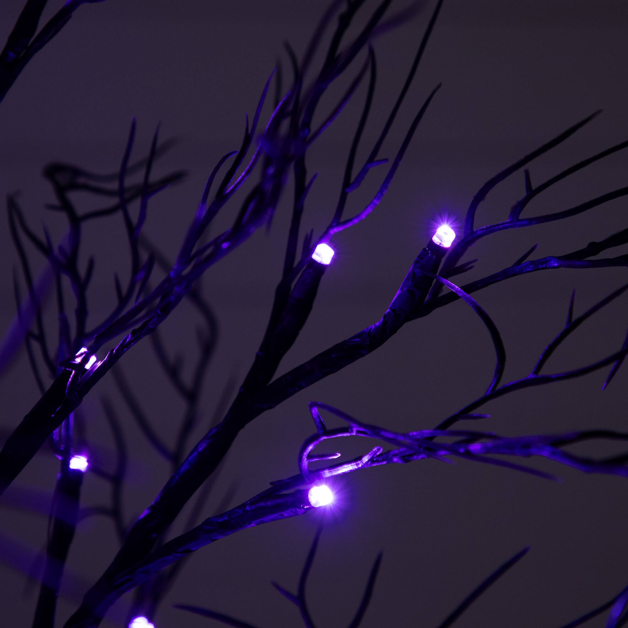 2ft. Pre-Lit LED Deluxe Black Twig Artificial Halloween Tree